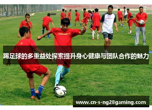 踢足球的多重益处探索提升身心健康与团队合作的魅力