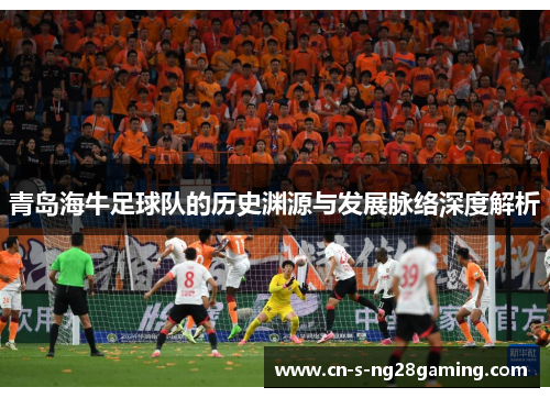 青岛海牛足球队的历史渊源与发展脉络深度解析