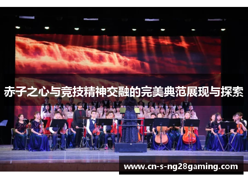 赤子之心与竞技精神交融的完美典范展现与探索