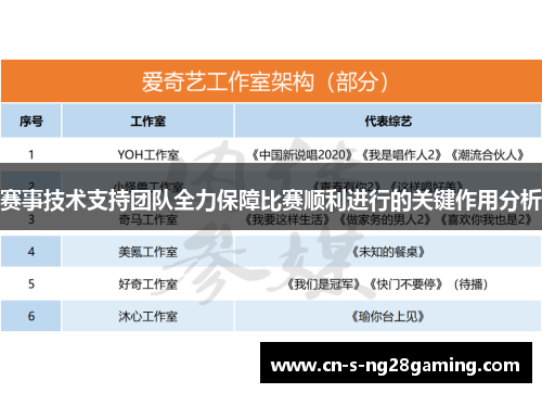 赛事技术支持团队全力保障比赛顺利进行的关键作用分析 赛事技术支持团队全力保障比赛顺利进行的关键作用分析