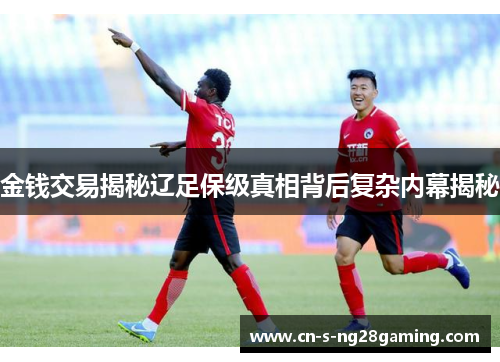 金钱交易揭秘辽足保级真相背后复杂内幕揭秘 金钱交易揭秘辽足保级真相背后复杂内幕揭秘