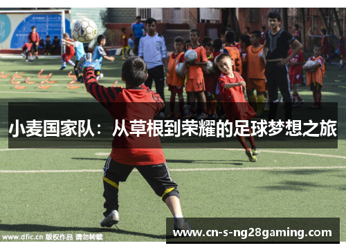 小麦国家队：从草根到荣耀的足球梦想之旅